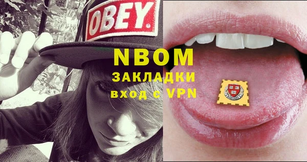 индика Алексин